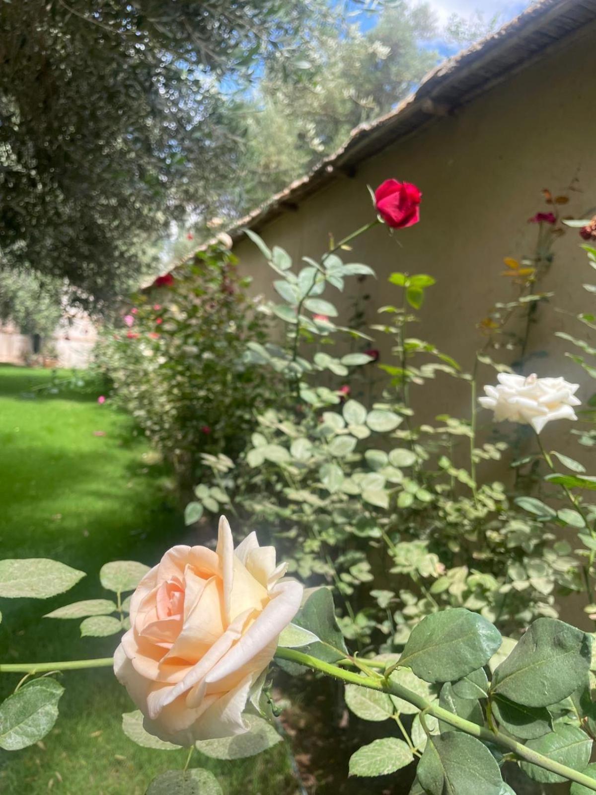 Riad Le Jasmin Tarudant Zewnętrze zdjęcie